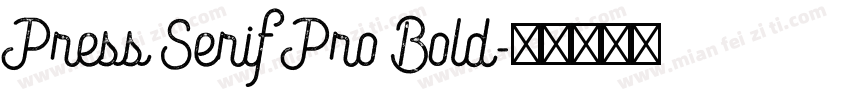 Press Serif Pro Bold字体转换